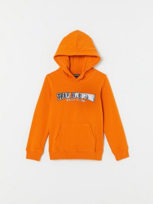 8018 True Religion Boys Logo Hoodie | 5206-XBADE