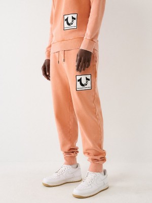 Autumn Maple True Religion Logo Patch Jogger | 0831-MJHUZ