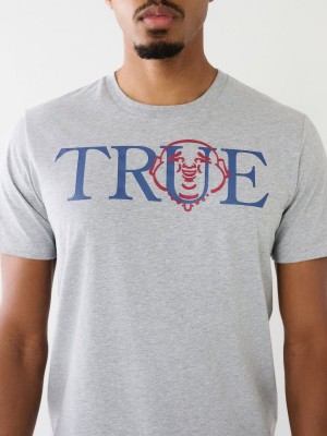 Heather Grey True Religion Buddha Logo T Shirts | 2834-YKJNG