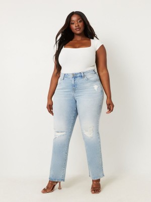 Mimosa W Destroy True Religion Plus Sarah High Rise Straight Jeans | 5206-ONZAG