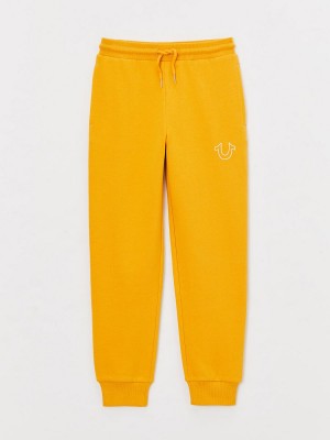 Mineral Yellow True Religion Boys Logo Jogger | 8293-EYLJK