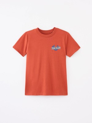 PICANTE True Religion Boys Logo T Shirts | 4963-HSZIW