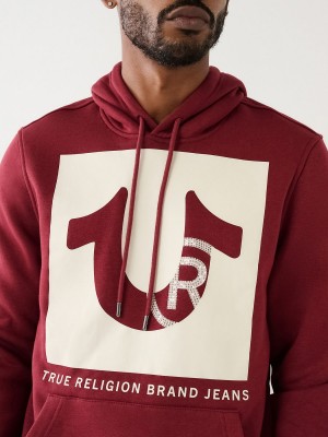 Redwood True Religion Studded Logo Hoodie | 6349-ESUJR