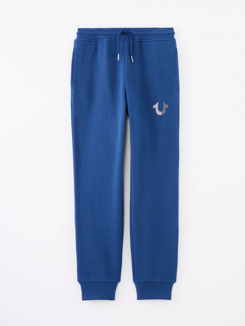 3922 True Religion Boys Logo Jogger | 3592-MGBHS