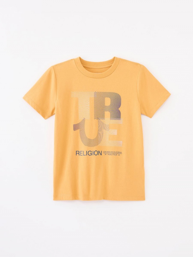 Chipmunk True Religion Boys Logo T Shirts | 7936-UYDGR