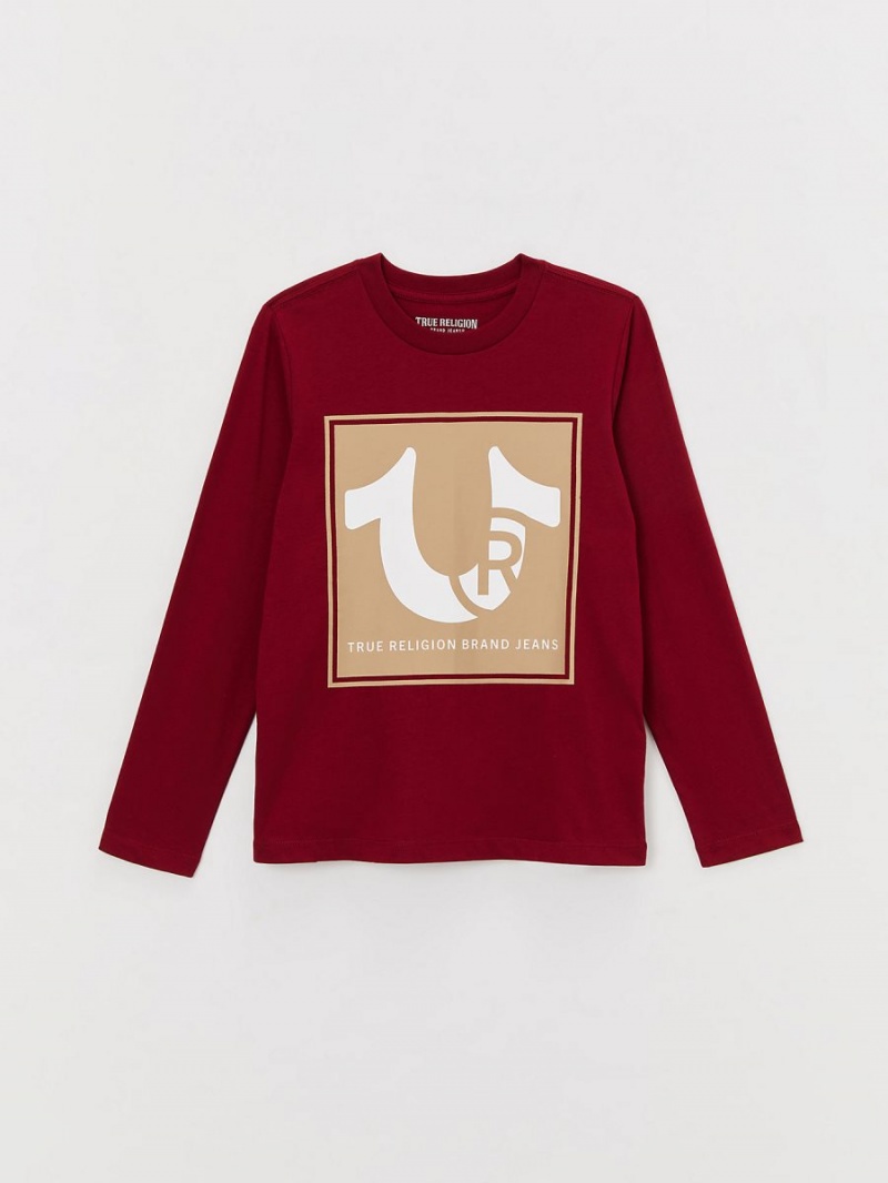 Cranberry True Religion Boys Long Sleeve Logo T Shirts | 7802-HUTJP