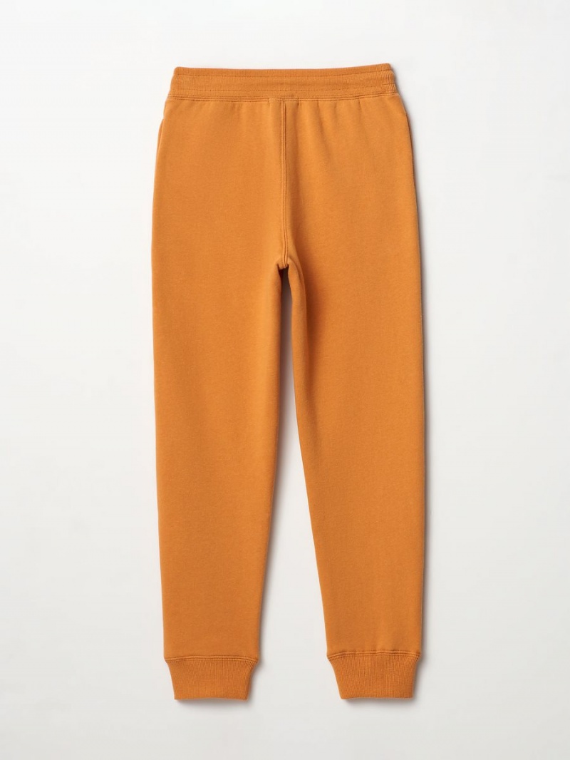 Daffodil True Religion Boys Logo Jogger | 3568-DEYQK