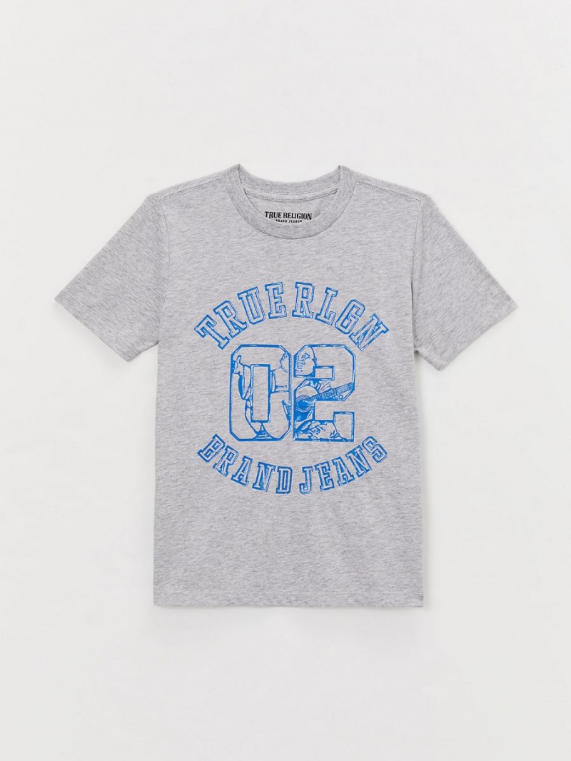 Heather Grey True Religion Boys Logo T Shirts | 6038-JLYFR