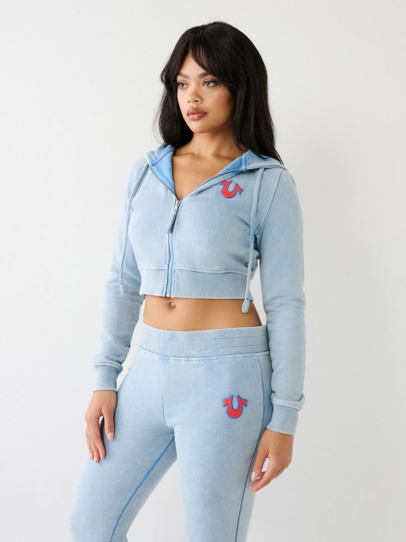 Pacific True Religion Washed Big T Logo Crop Hoodie | 9401-MRTYG