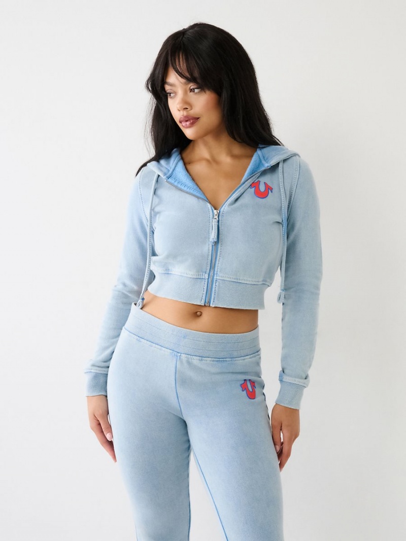 Pacific True Religion Washed Big T Logo Crop Hoodie | 2539-WVRFJ