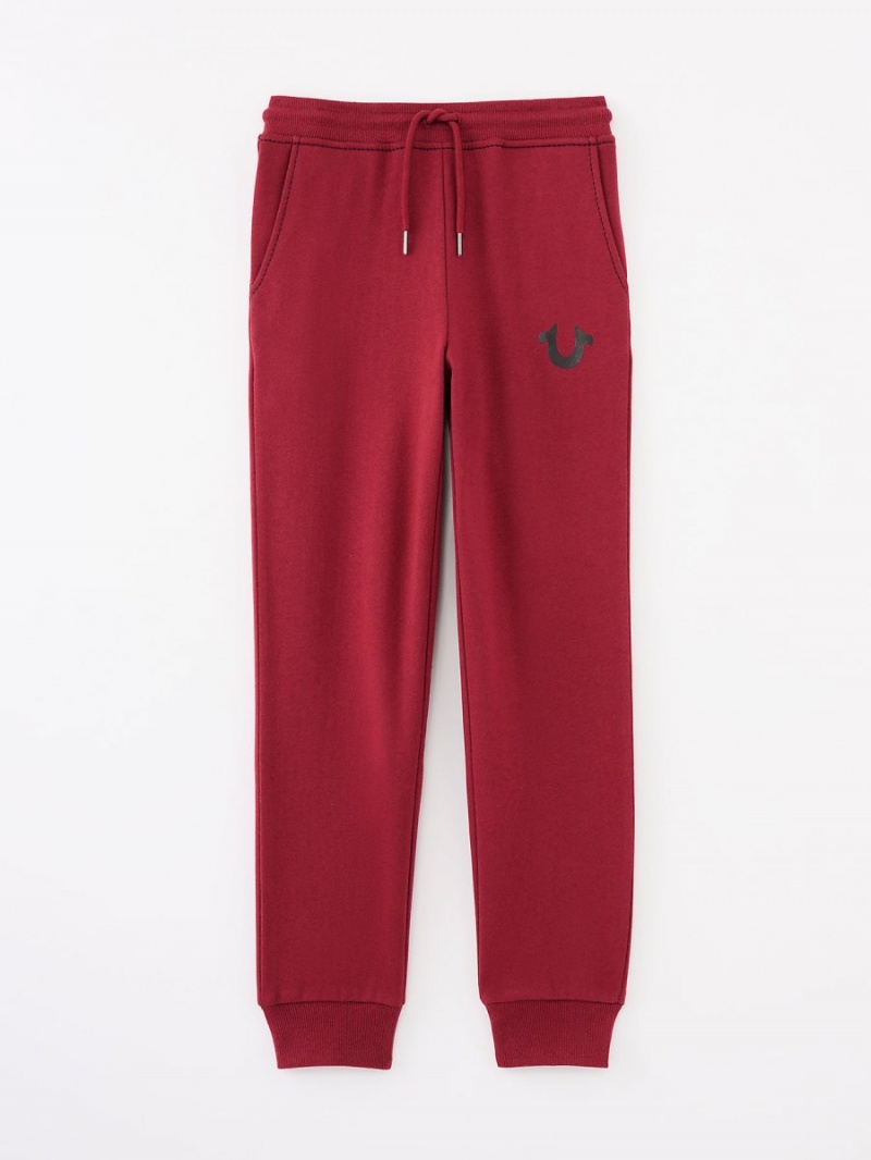 Redwood True Religion Boys Logo Jogger | 4106-FDTKU