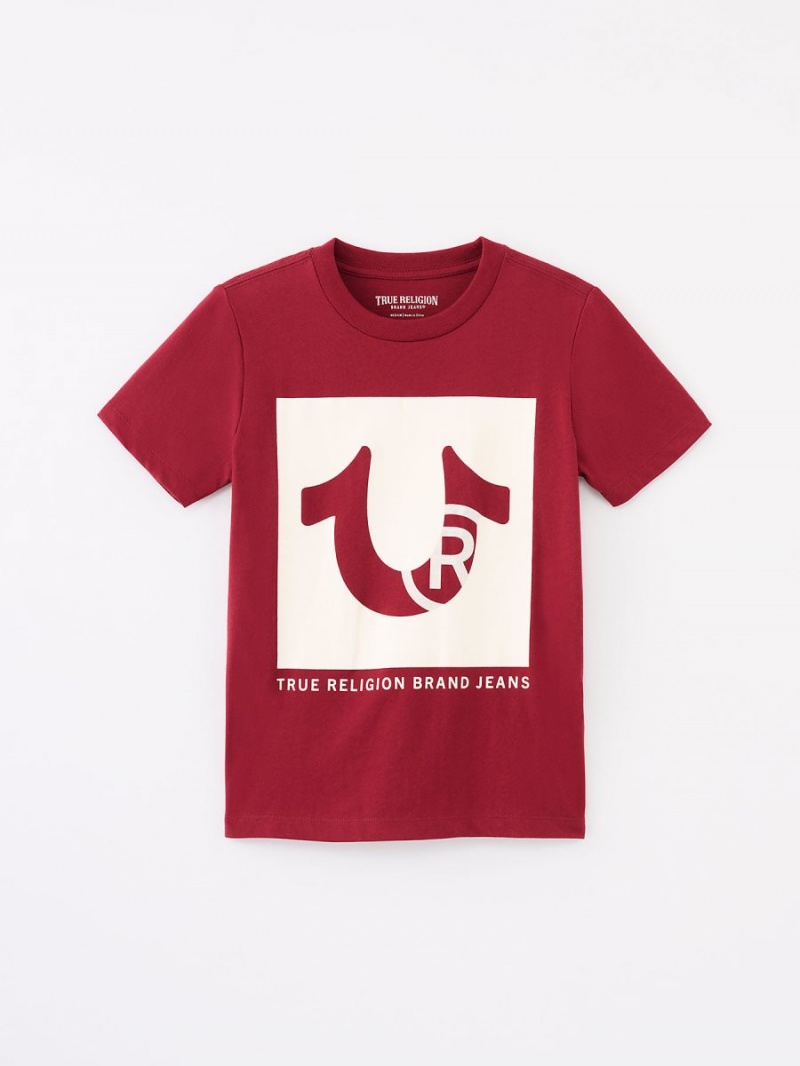 Redwood True Religion Boys Logo T Shirts | 8319-EYAGD