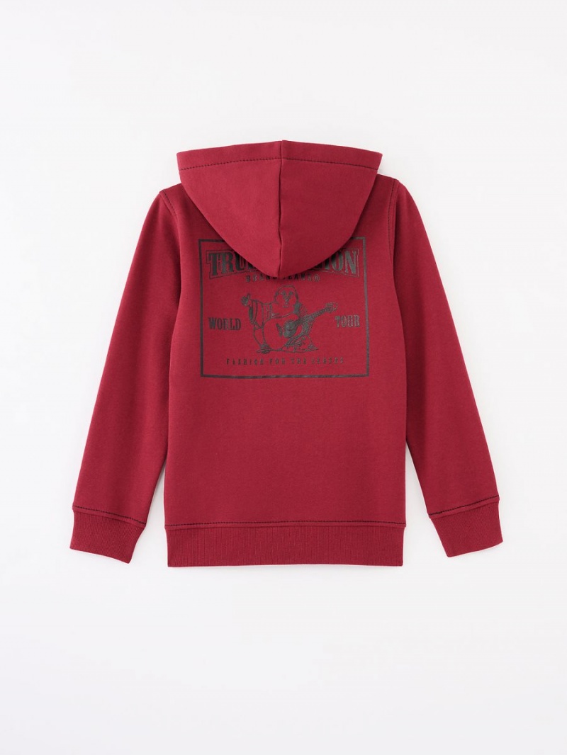 Redwood True Religion Boys Logo Zip Hoodie | 4139-CKNDP