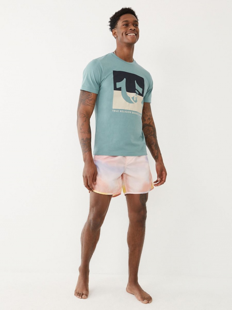 SORBET True Religion Tie Dye Board Shorts | 3296-MXFQZ